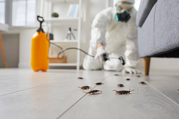 Commercial Kitchen Cockroach Control in Trail Creek