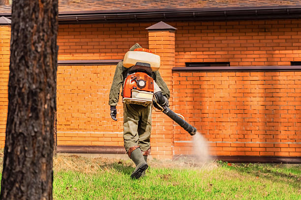Cockroach Follow-Up and Monitoring in Trail Creek